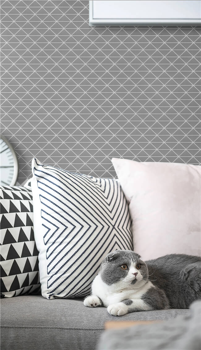 Perfect Gray Backdrop with unglazed grey triangle tiles